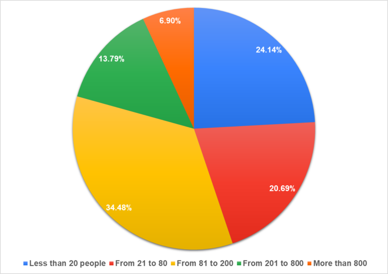 Figure 2. Number of employees in the company.