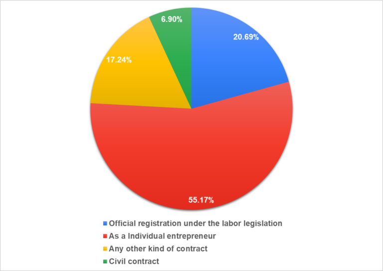 Figure 16. Types of employment.