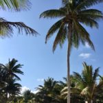 Working Remotely: how and why to live without an office