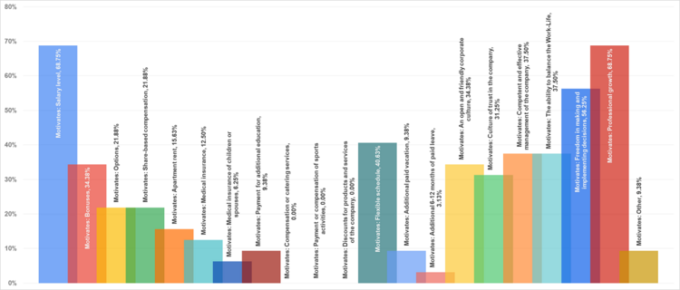 Motivation factors for CTOs